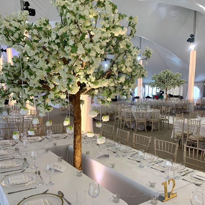Asian Wedding Venue - Wedding Venue Hire - Essex